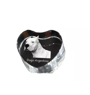 Dogue argentin, Dogo argentino - une photo de chien dans un cristal, un cœur en cristal, un cadre photo exceptionnel de la marque Art-Dog