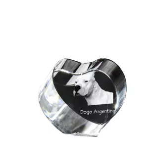 Dogue argentin, Dogo argentino - une photo de chien dans un cristal, un cœur en cristal, un cadre photo exceptionnel de la marque Art-Dog