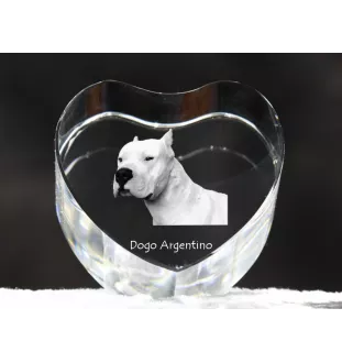 Dogue argentin, Dogo argentino - une photo de chien dans un cristal, un cœur en cristal, un cadre photo exceptionnel de la marque Art-Dog