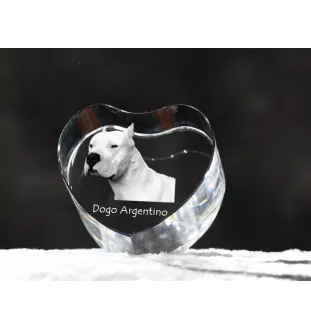 Argentinische Dogge, Dogo Argentino - Hundebild im Kristall, Kristallherz, einzigartiger Bilderrahmen der Marke Art-Dog