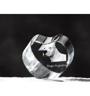 Dogue argentin, Dogo argentino - une photo de chien dans un cristal, un cœur en cristal, un cadre photo exceptionnel de la marque Art-Dog