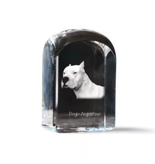 Argentinische Dogge, Dogo Argentino - Kristallwürfel mit Bild, Hundebild im Kristall, sechseckiger Papierclip von Art-Dog.