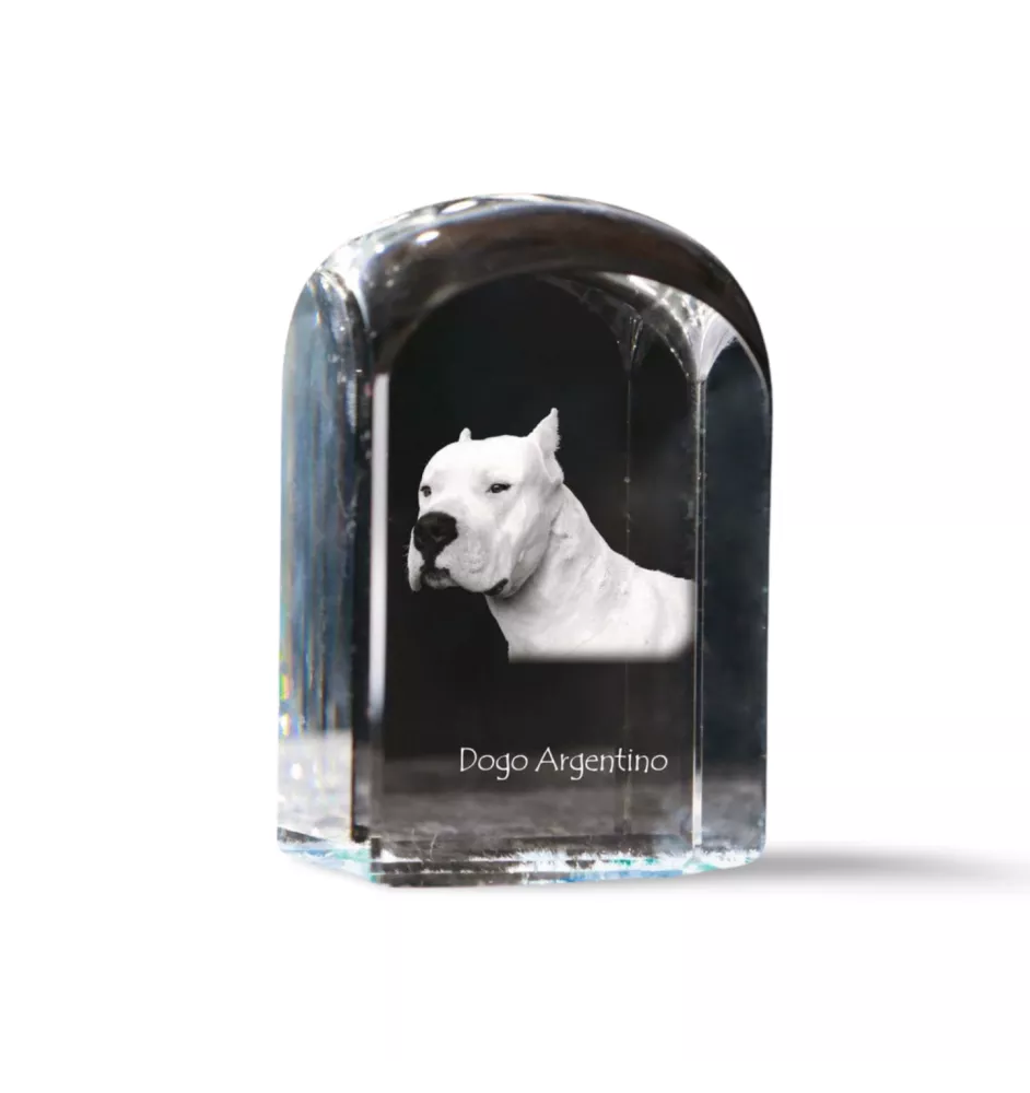 Argentinische Dogge, Dogo Argentino - Kristallwürfel mit Bild, Hundebild im Kristall, sechseckiger Papierclip von Art-Dog.