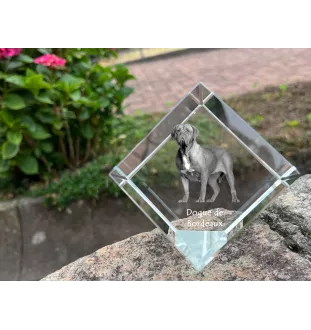 Dogue de Bordeaux, French Mastiff, Bordeauxdog - crystal cube with a photo, photo of a horse in crystal, cubic paperweight from Art-Dog brand