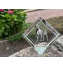 Dogue de Bordeaux, French Mastiff, Bordeauxdog - crystal cube with a photo, photo of a horse in crystal, cubic paperweight from Art-Dog brand