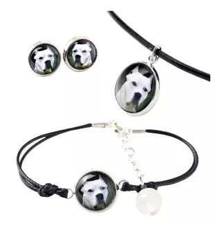 Dogue argentin, Dogo argentino - ensemble de bijoux dans une boîte, collier, boucles d'oreilles, bracelet, produits de la marque Art-Dog
