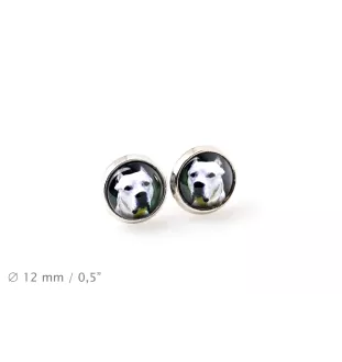 Argentinische Dogge, Dogo Argentino - Schmuckset in einer Schachtel, Halskette, Ohrringe, Armband, Produkte der Marke Art-Dog