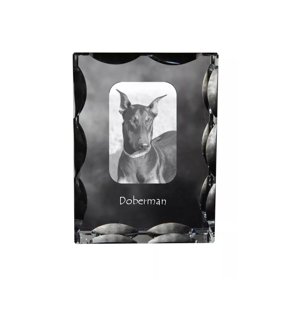 Dobermann, Dobermann Pinscher - cristal avec photo de chien, statuette en verre avec photo, cadre exceptionnel avec photo de la marque Art-Dog
