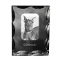 Dobermann, Doberman Pinscher, Dobie - crystal with a picture of a dog, glass statuette with a picture, unique frame with a picture from Art-Dog brand