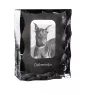 Dobermann, Doberman Pinscher, Dobie - crystal with a picture of a dog, glass statuette with a picture, unique frame with a picture from Art-Dog brand