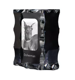 Dobermann, Doberman Pinscher, Dobie - crystal with a picture of a dog, glass statuette with a picture, unique frame with a picture from Art-Dog brand