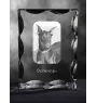 Dobermann, Dobermann Pinscher - cristal avec photo de chien, statuette en verre avec photo, cadre exceptionnel avec photo de la marque Art-Dog