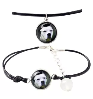 Dogue argentin, Dogo argentino - ensemble de bijoux avec votre photo, ensemble fait à la main, bracelet et collier de la marque Art.-Dog