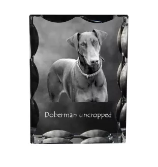 Dobermann, Dobermann Pinscher I - cristal avec photo de chien, statuette en verre avec photo, cadre exceptionnel avec photo de la marque Art-Dog