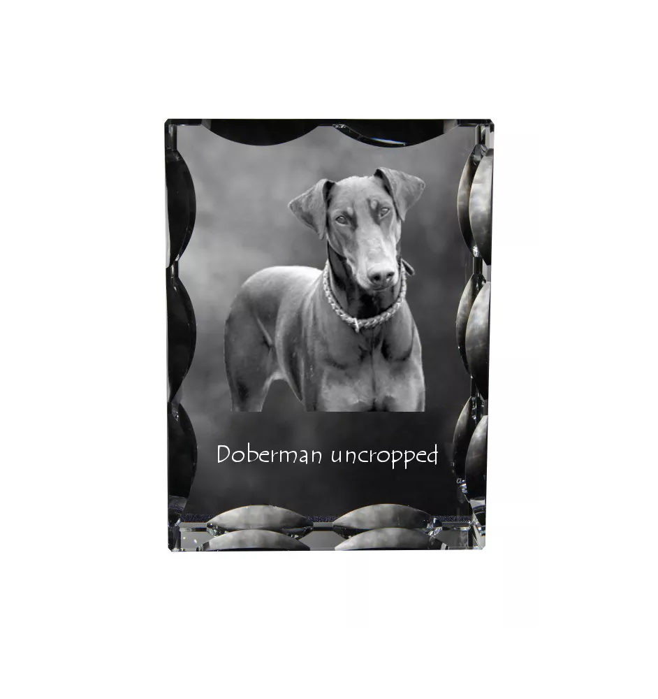 Dobermann, Doberman Pinscher, Dobie I - crystal with a picture of a dog, glass statuette with a picture, unique frame with a picture from Art-Dog brand