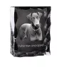 Dobermann, Doberman Pinscher, Dobie I - crystal with a picture of a dog, glass statuette with a picture, unique frame with a picture from Art-Dog brand