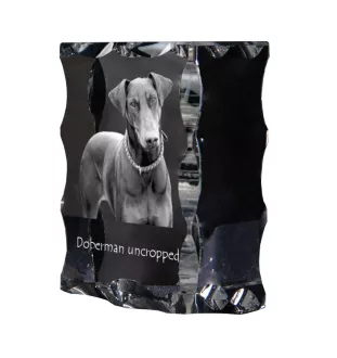 Dobermann, Doberman Pinscher, Dobie I - crystal with a picture of a dog, glass statuette with a picture, unique frame with a picture from Art-Dog brand