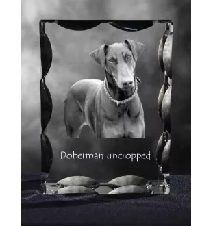Dobermann I - Kristall mit einem Hundebild, Glasstatuette mit einem Bild, einzigartiger Bilderrahmen der Marke Art-Dog
