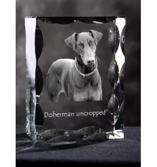 Dobermann, Dobermann Pinscher I - cristal avec photo de chien, statuette en verre avec photo, cadre exceptionnel avec photo de la marque Art-Dog