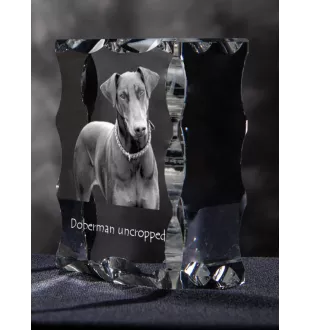 Dobermann, Doberman Pinscher, Dobie I - crystal with a picture of a dog, glass statuette with a picture, unique frame with a picture from Art-Dog brand