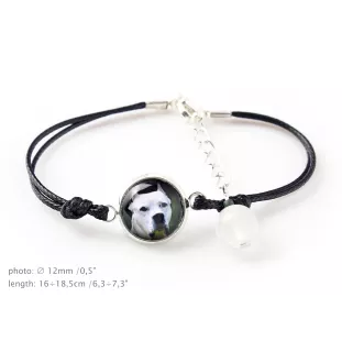 Dogue argentin, Dogo argentino - ensemble de bijoux avec votre photo, ensemble fait à la main, bracelet et collier de la marque Art.-Dog