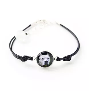 Dogo Argentino - a set of jewelry with your photo, handmade set, bracelet and necklace by Art.-Dog brand