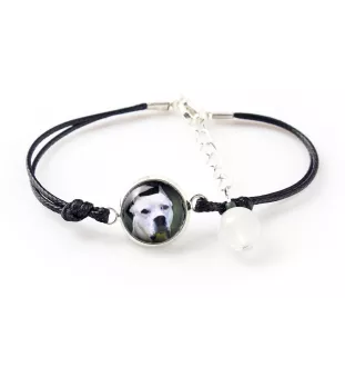 Dogo Argentino - a set of jewelry with your photo, handmade set, bracelet and necklace by Art.-Dog brand