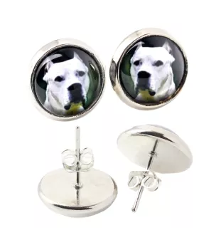 Dogue argentin, Dogo argentino - boucles d'oreilles dans une boîte, votre photo, bijoux faits à la main, produit de la marque Art-Dog.
