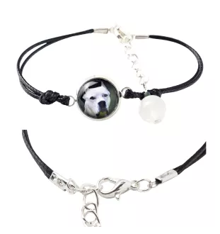 Dogo Argentino - bracelet in a box with your photo, feminine jewelry, perfect gift from Art-Dog brand