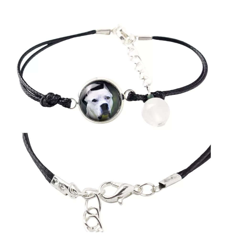 Dogo Argentino - bracelet in a box with your photo, feminine jewelry, perfect gift from Art-Dog brand