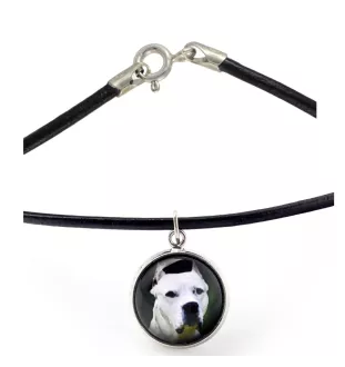 Dogue argentin, Dogo argentino - collier dans une boîte, élégant bijou, pendentif de la marque Art-Dog