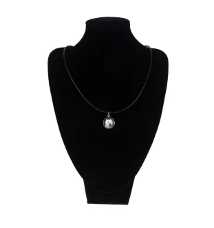 Dogue argentin, Dogo argentino - collier dans une boîte, élégant bijou, pendentif de la marque Art-Dog