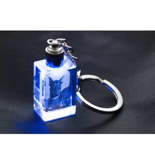 Dobermann, Doberman Pinscher, Dobie - Crystal key ring with dog photo, illuminated key ring, unique gift by Art-Dog brand