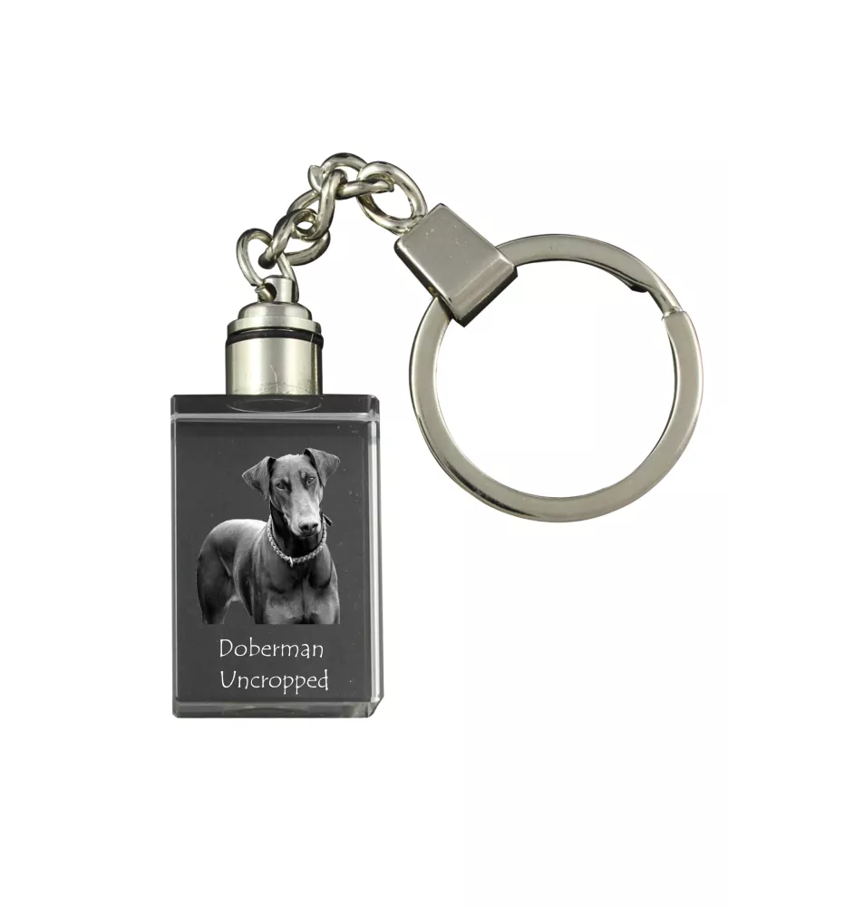 Dobermann I - Schlüsselanhänger aus Kristall mit Hundefoto, beleuchteter Schlüsselanhänger, einzigartiges Geschenk der Marke Art-Dog