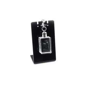 Dobermann, Doberman Pinscher, Dobie I - Crystal key ring with dog photo, illuminated key ring, unique gift by Art-Dog brand