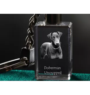Dobermann I - Schlüsselanhänger aus Kristall mit Hundefoto, beleuchteter Schlüsselanhänger, einzigartiges Geschenk der Marke Art-Dog
