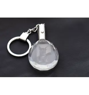 Dobermann, Doberman Pinscher, Dobie - pendant with a photo of a dog, crystal key ring in a gift box, a unique gift by Art-Dog