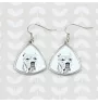 Dogo Argentino - dog earrings, hanging earrings with a picture, personalized jewelry with Art-Dog brand print