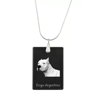 Dogo Argentino - Crystal pendant with dog, silver necklace with photo, personalised pendant by Art-Dog brand