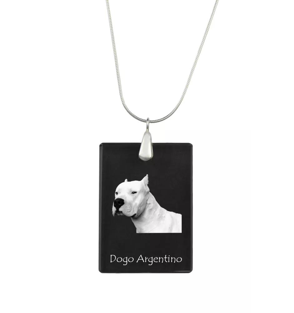 Dogo Argentino - Crystal pendant with dog, silver necklace with photo, personalised pendant by Art-Dog brand