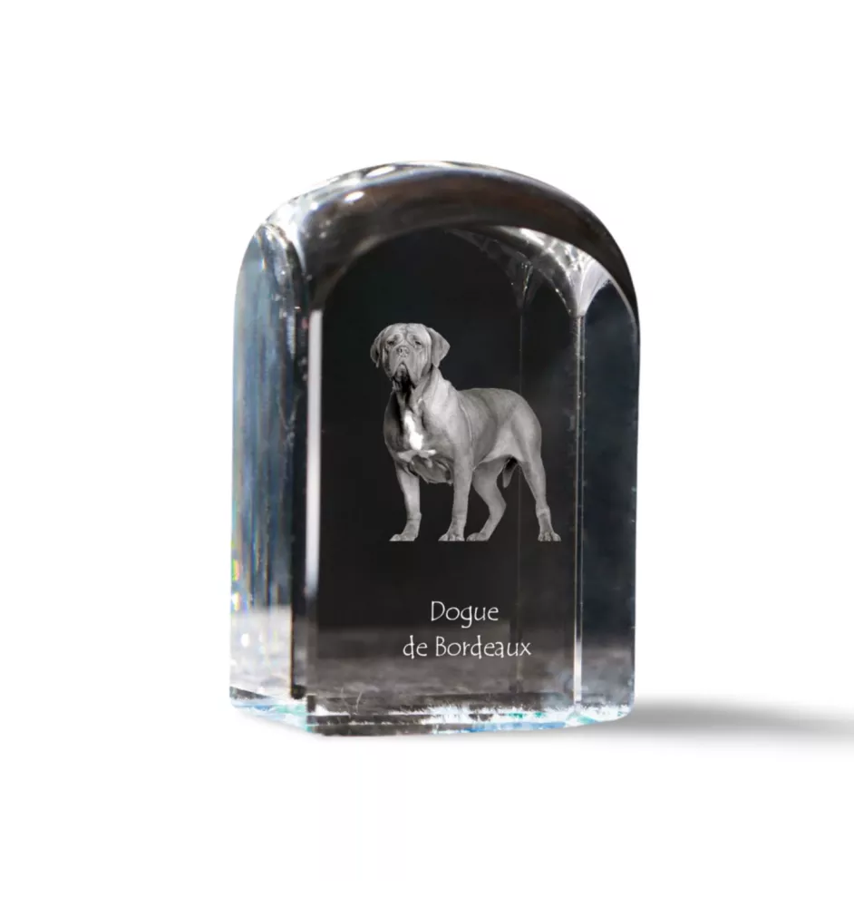 Dogue de Bordeaux, French Mastiff, Bordeauxdog - crystal cube with a photo, photo of a dog in crystal, cubic paperweight from Art-Dog brand