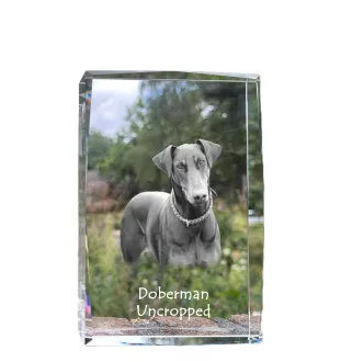Dobermann I - Kristall mit einem Hundebild, Bild im Glas, moderne Ausstellung des Art-Dog-Bildes.
