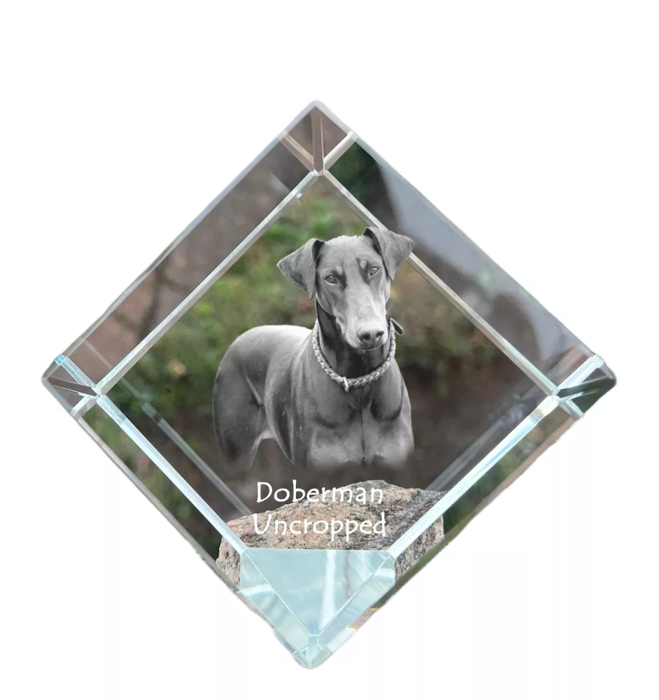 Dobermann I - Kristallwürfel mit Bild, Pferdebild im Kristall, sechseckiger Papierclip der Marke Art-Dog