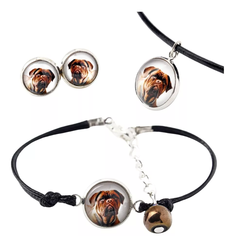 Dogue de Bordeaux, French Mastiff, Bordeauxdog - a set of jewelry in a box, necklace, earrings, bracelet, products from the Art-Dog brand