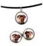 Dogue de Bordeaux - boîte à bijoux avec votre photo, ensemble collier et boucles d'oreilles, produits personnalisés de la marque Art-Dog