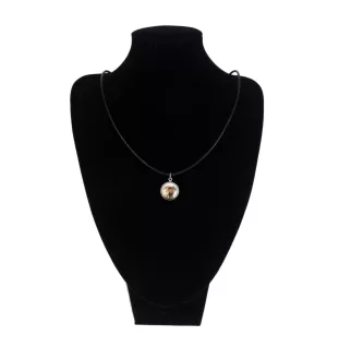 Dogue de Bordeaux, French Mastiff, Bordeauxdog - jewelry with your photo box, set of necklace and earrings, personalized products from the Art-Dog brand