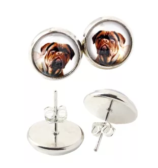 Dogue de Bordeaux - boucles d'oreilles dans une boîte, votre photo, bijoux faits à la main, produit de la marque Art-Dog.