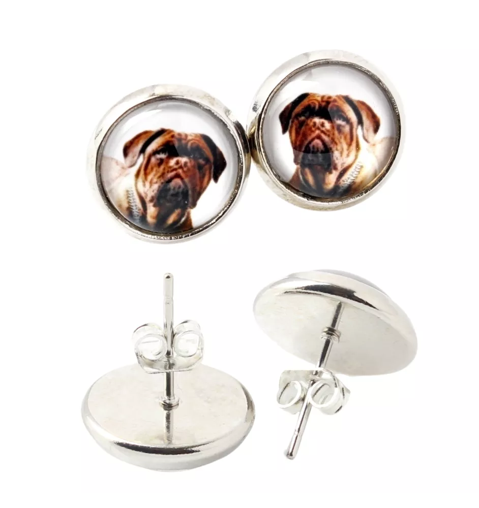 Dogue de Bordeaux - boucles d'oreilles dans une boîte, votre photo, bijoux faits à la main, produit de la marque Art-Dog.