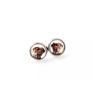 Dogue de Bordeaux, French Mastiff, Bordeauxdog - earrings in a box, your photo, handmade jewelry, a product of the Art-Dog brand
