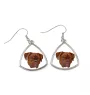 Dogue de Bordeaux - boucles d'oreilles avec une photo et un motif de chien géométrique Art-Dog